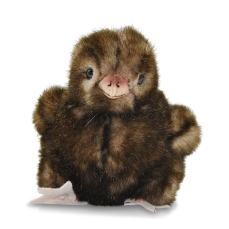 Plüschküken in braun von Kösen