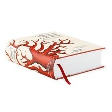  Naturalienkabinett - Cabinet of Natural Curiosities