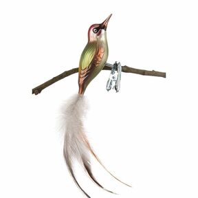 Glasvogel Grünsprecht