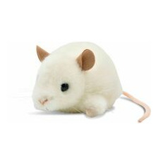 Maus, PIEPS, weiß, 5561