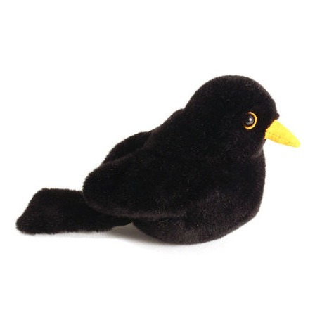 Kösener Amsel TÜRLILÜ, 5820