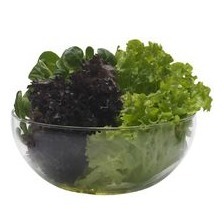Schüssel