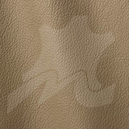 Sandy