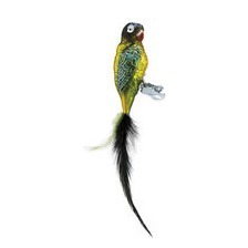 Glasvogel PAPAGEI COCO
