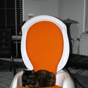 Erwischt: Coco auf dem garden-egg-chair