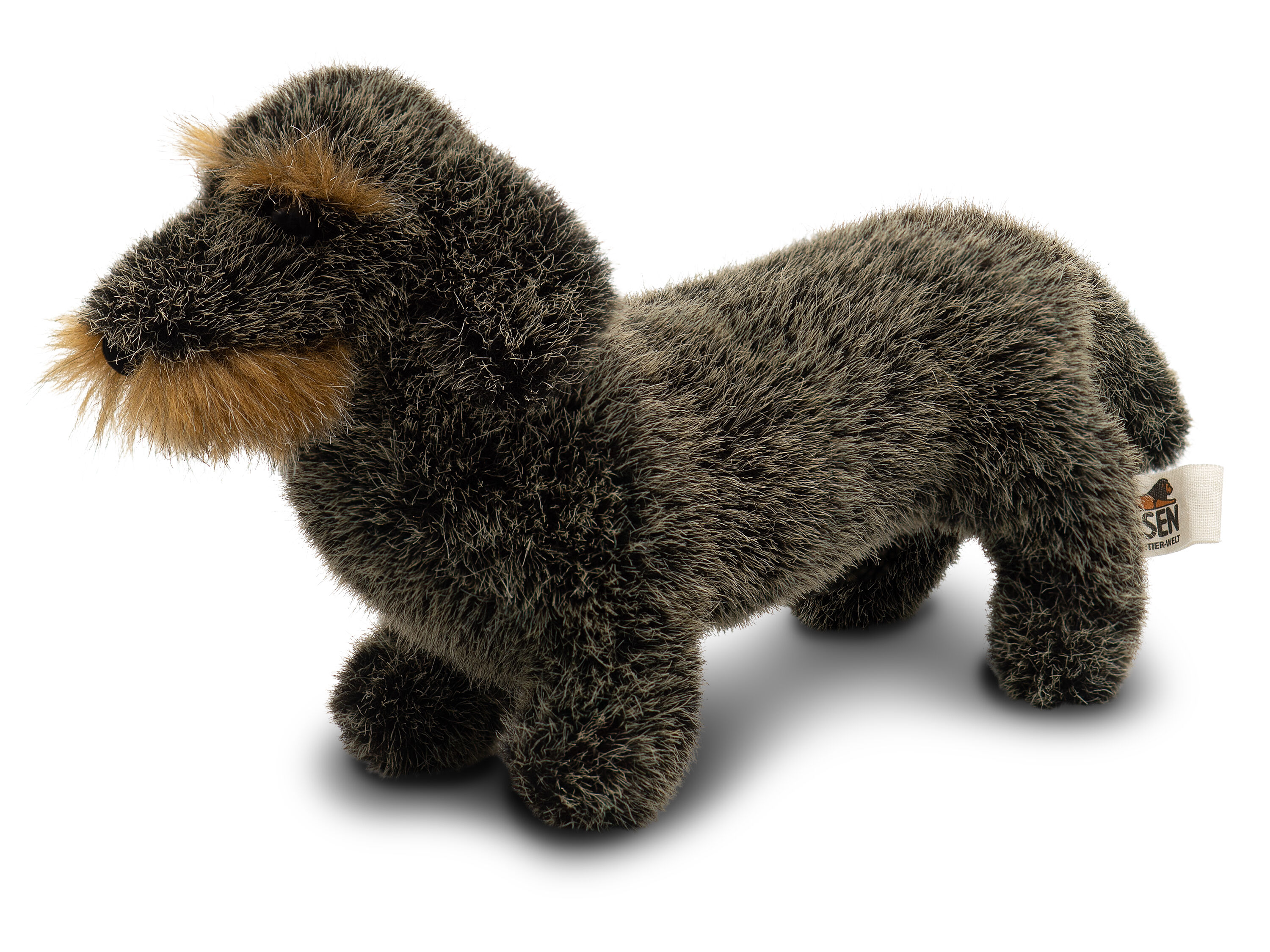 Kösener Rauhaardackel ZAUSEL 4090 FORMOST