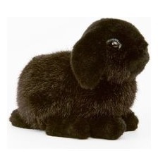 Kösener Zwergwidderkind, schwarz, 6161