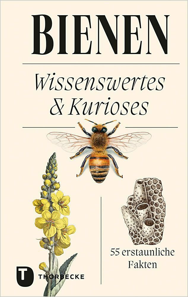 Bienen - Wissenswertes & Kurioses