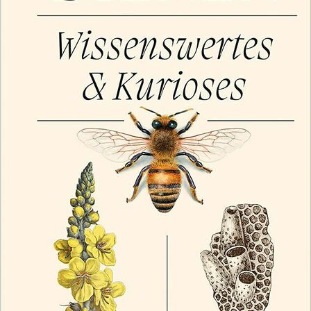 Bienen - Wissenswertes & Kurioses