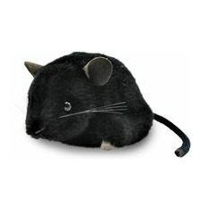Maus, schwarz 5564