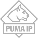 Puma IP Silber