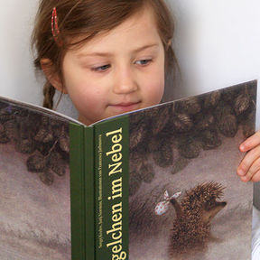 Igelchen im Nebel als Buch