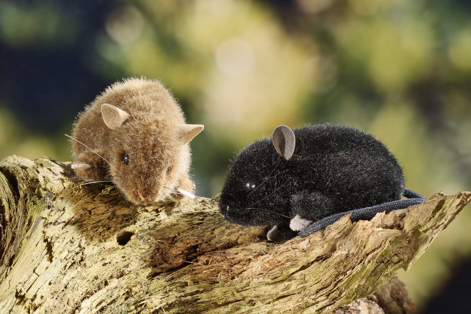 Plüschmäuse braun und schwarz