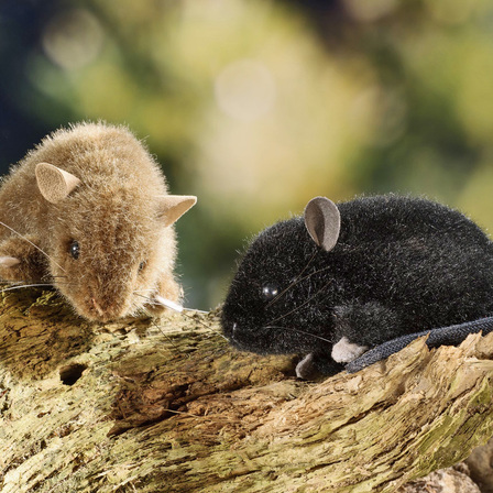Plüschmäuse braun und schwarz