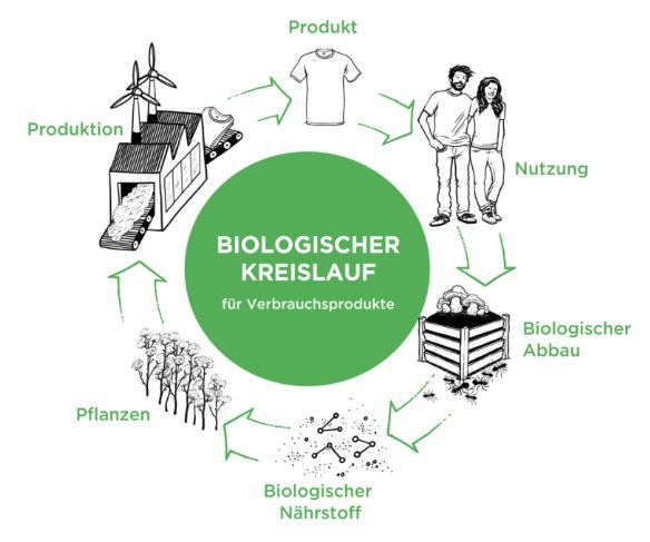 Materialien bleiben als Nährstoffe innerhalb von zwei Kreisläufen nützlich. Im biologischen Kreislauf werden ausschließlich Stoffe verwendet, die sich am Ende ihrer Nutzung biologisch abbauen können. Dies ist bei Verbrauchsprodukten, die durch ihrem Umgang teilweise oder sogar komplett in die Umwelt gelangen, besonders wichtig.
