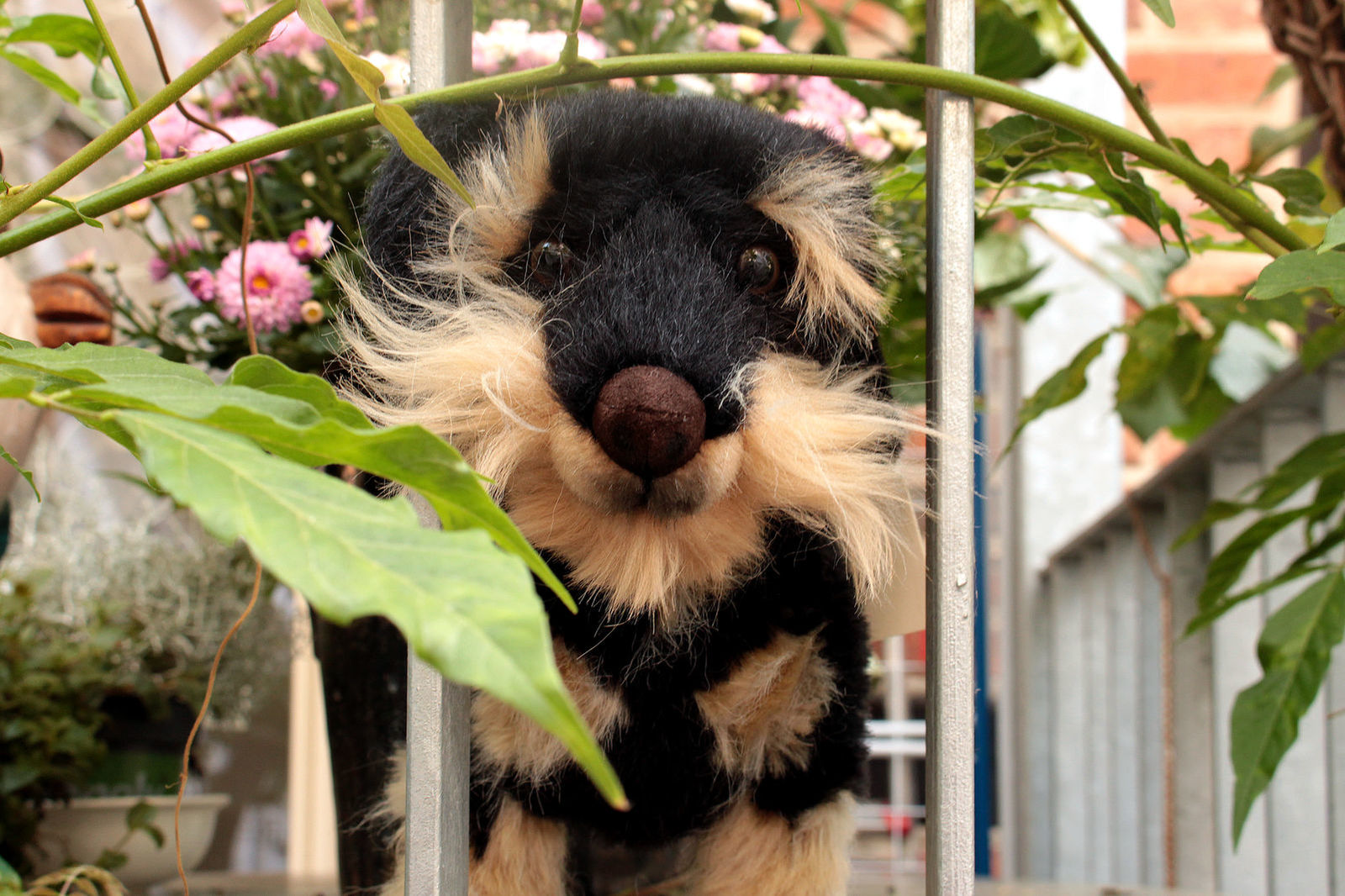 Plüschtiere von Kösen