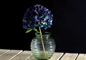 Vase FELICITAS_Richard LaukeThüringer Waldglas_3.jpg