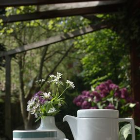 Das im Volksmund bekannte "Mitropa"geschirr begleitet jede Garten-Kaffeerunde.