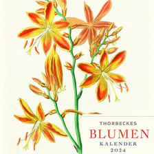 Thorbeckes Blumen-Kalender 2024