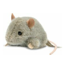 Kösener Maus